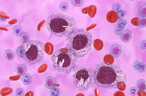 Leucemia linfocítica crónica (LLC)